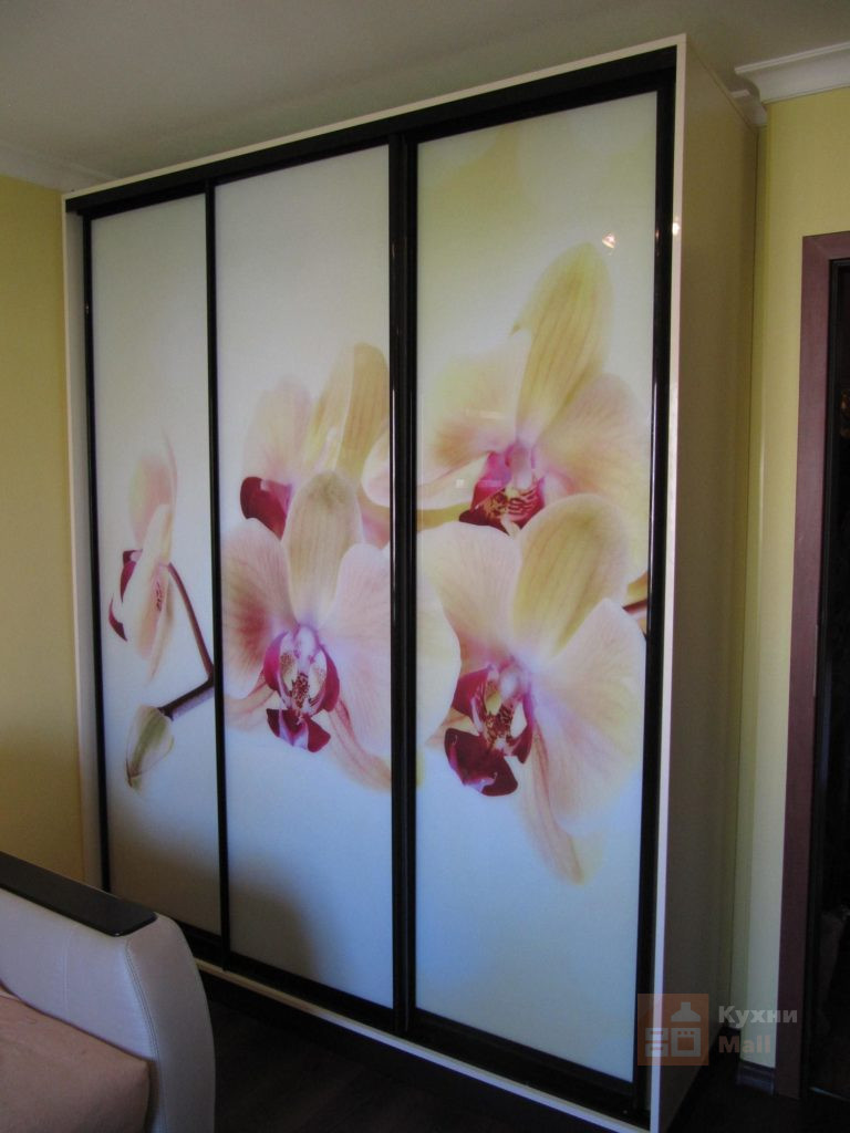Шкаф-купе Орхидеи